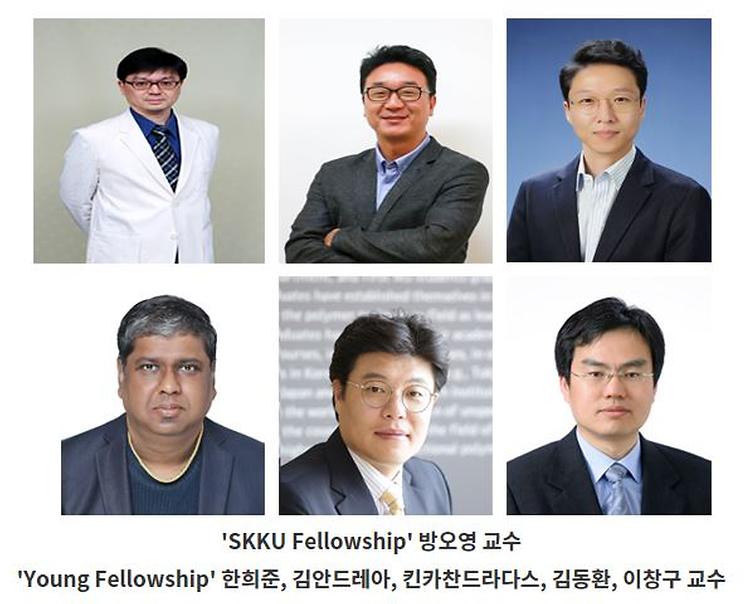 SKKU-Fellowship
